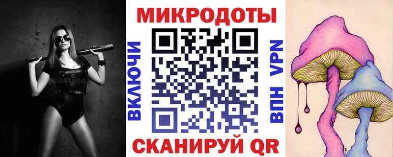 Псилоцибиновые грибы мицелий Гаджиево